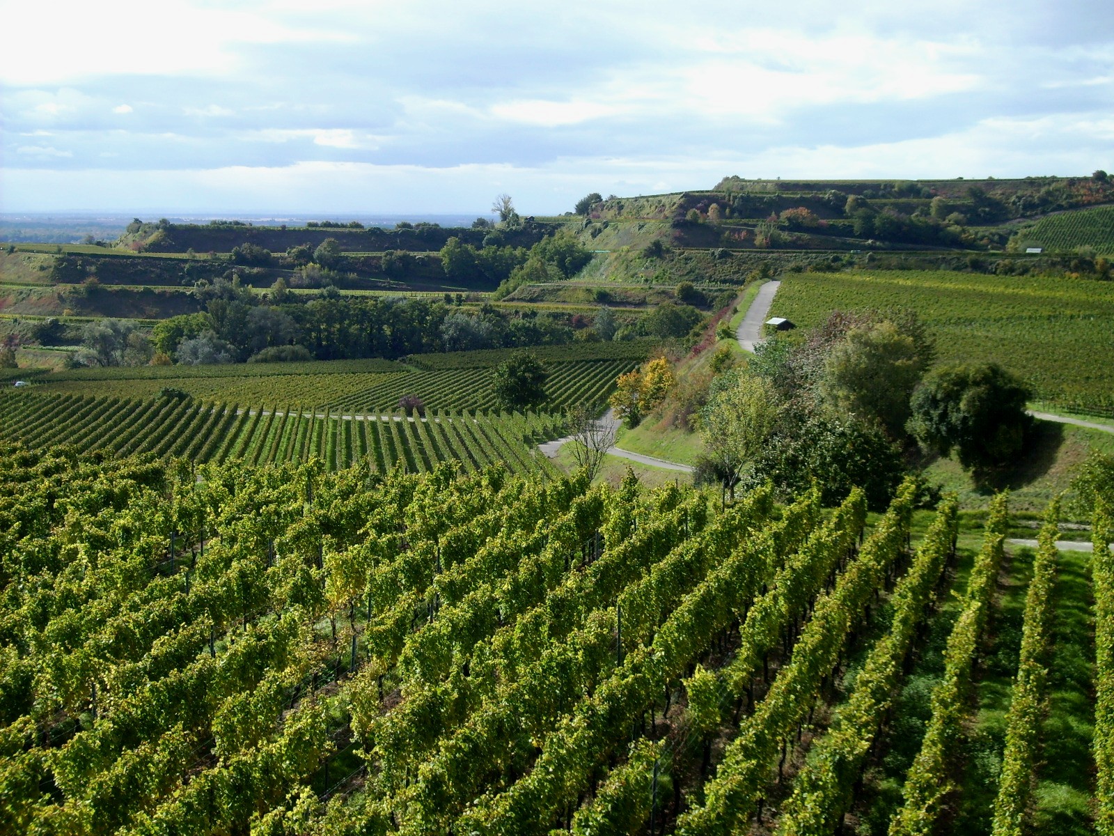 Ihringen Burgunderhof Ihringen