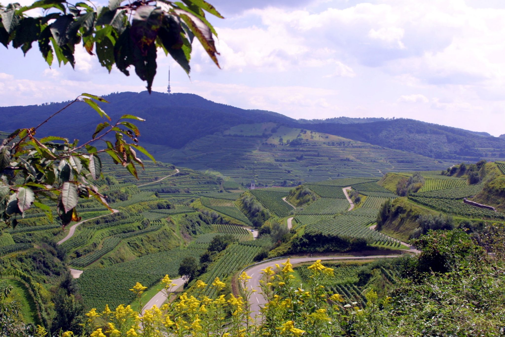 Ihringen Burgunderhof Ihringen